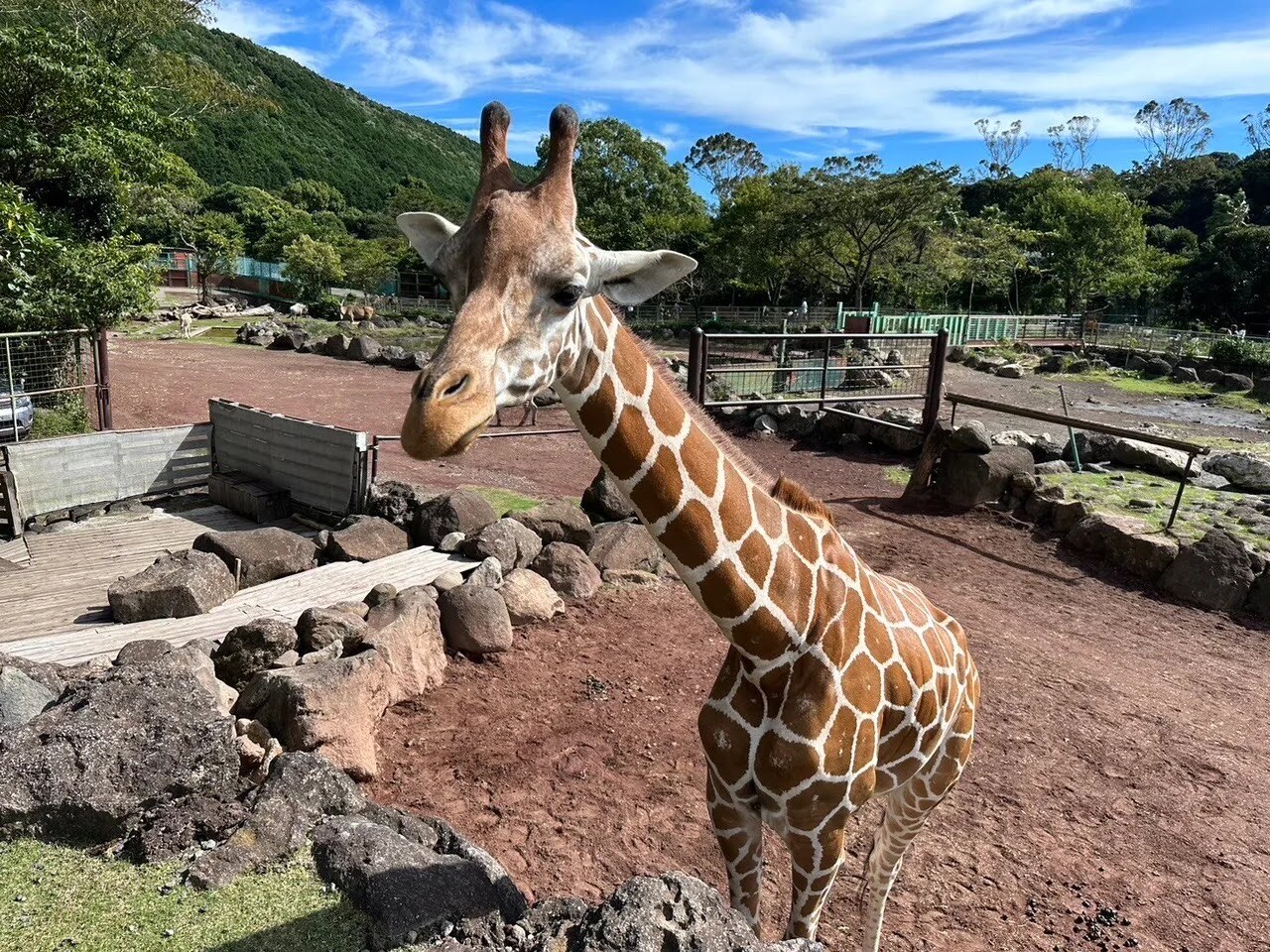伊豆旅行♪