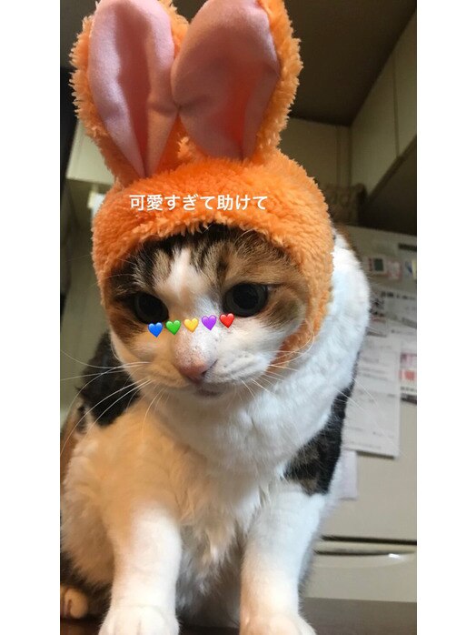 癒し