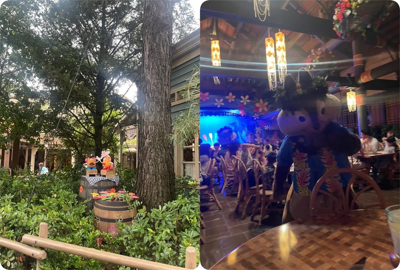 2026夏の出来事♪