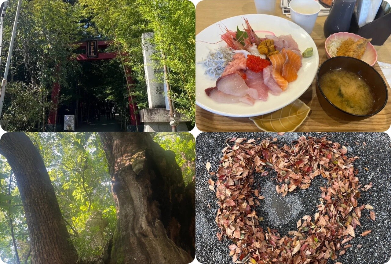 2026夏の出来事♪