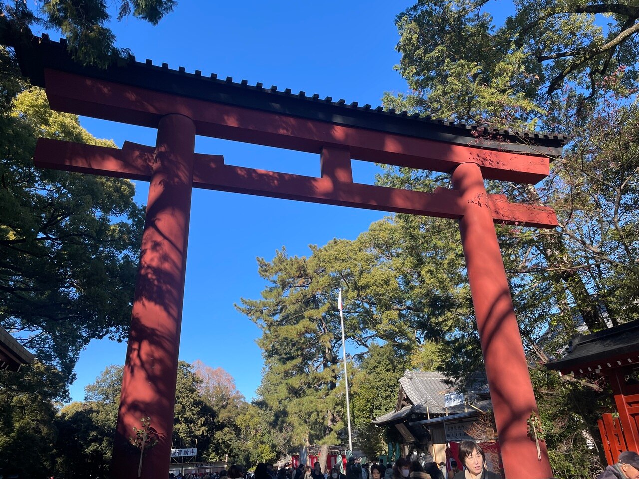 昨年末～年始の出来事♪