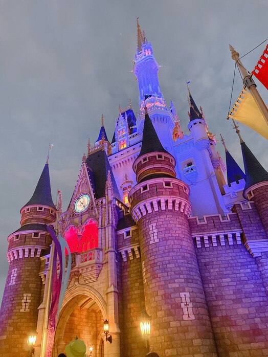 最近の出来事♪ディズニーランドへ♪
