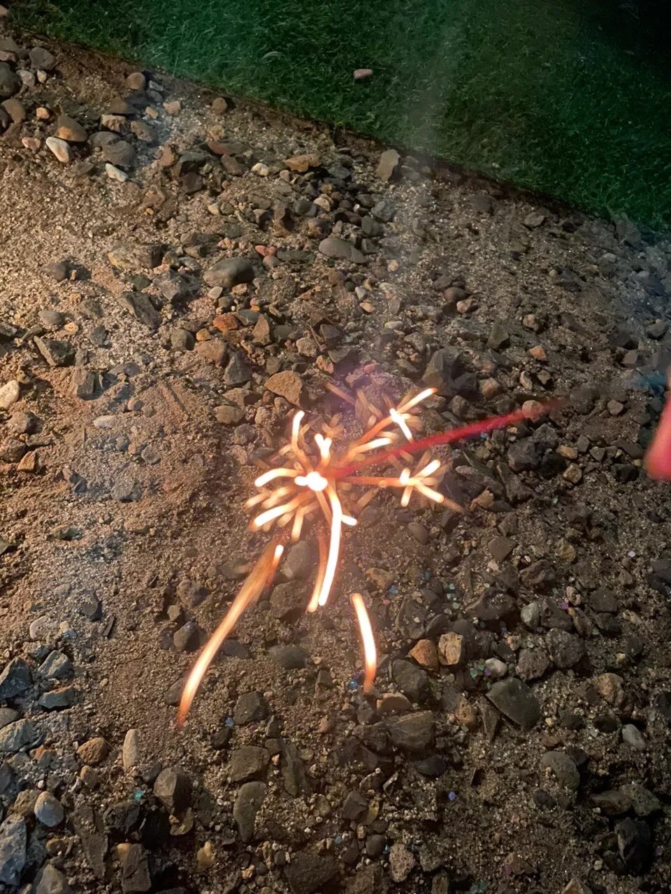 2026夏の出来事♪